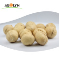 High Protein China Cultivation Type and High-class AAA Grade walnut price